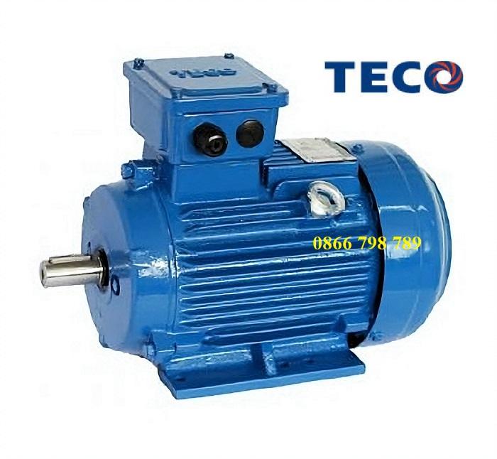 Motor điện 3 pha Teco 1.5kW - Máy Điện VIHEM - Công Ty Cổ Phần Máy Điện VIHEM