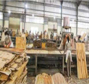 Hình ảnh công ty Đạt Việt