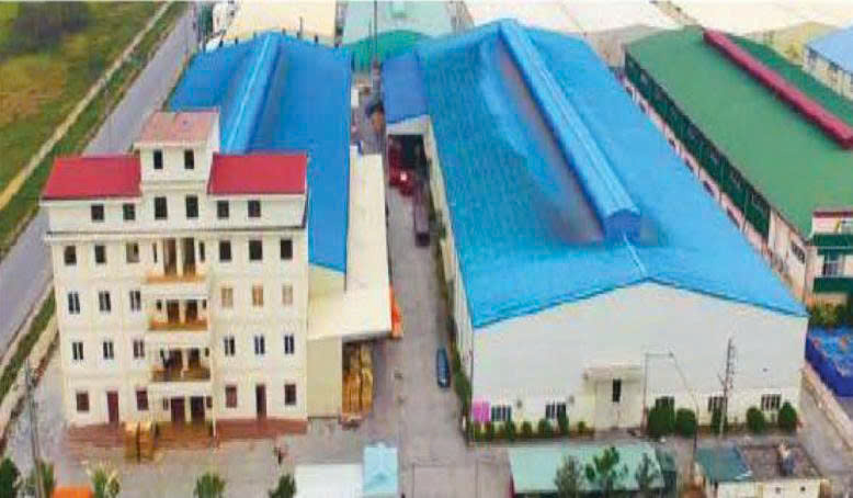 Hình ảnh công ty Đạt Việt