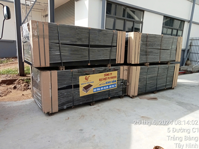 Hình ảnh thực tế Đạt Việt Plywood