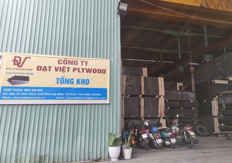 Hình ảnh thực tế Đạt Việt Plywood