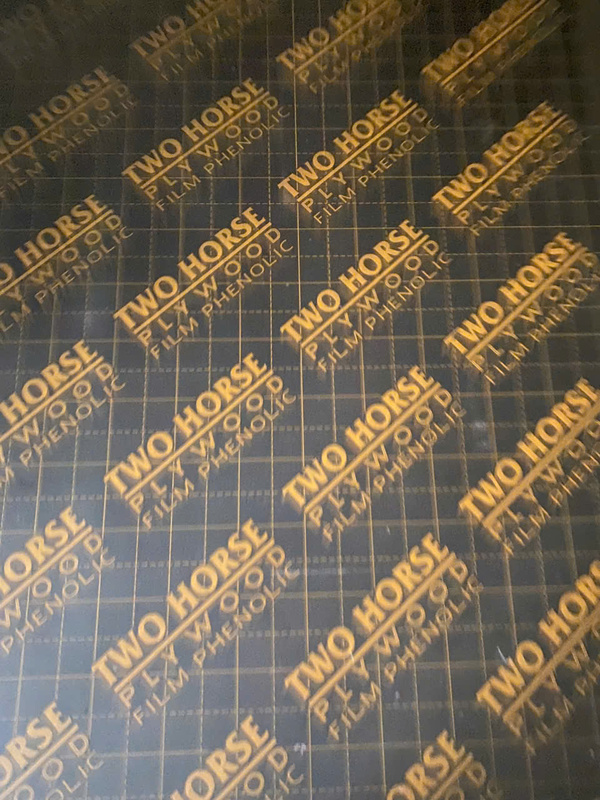 Hình ảnh thực tế Đạt Việt Plywood