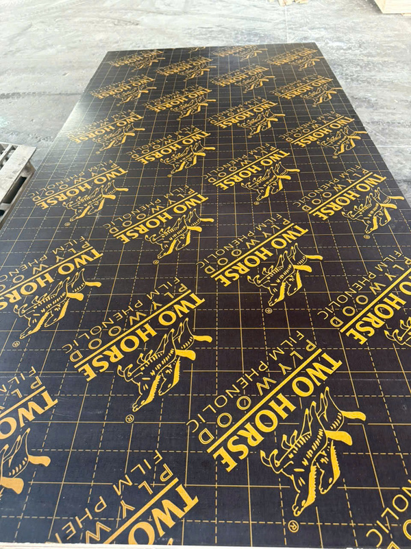 Hình ảnh thực tế Đạt Việt Plywood