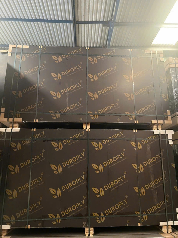 Hình ảnh thực tế Đạt Việt Plywood