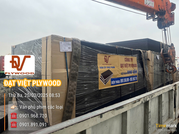 Hình ảnh thực tế Đạt Việt Plywood