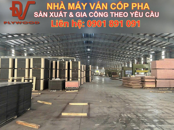 Hình ảnh thực tế Đạt Việt Plywood