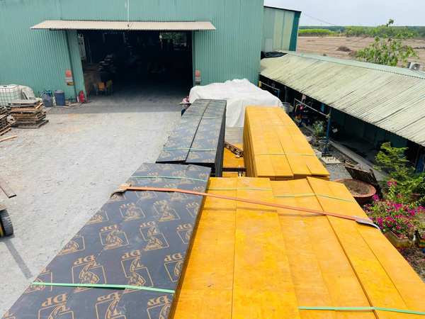Hình ảnh thực tế Đạt Việt Plywood