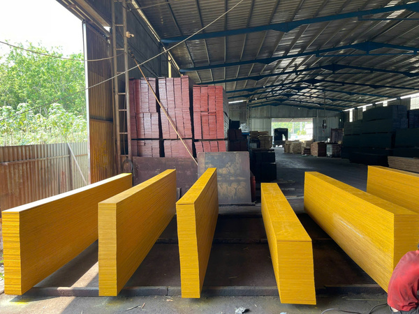 Hình ảnh thực tế Đạt Việt Plywood