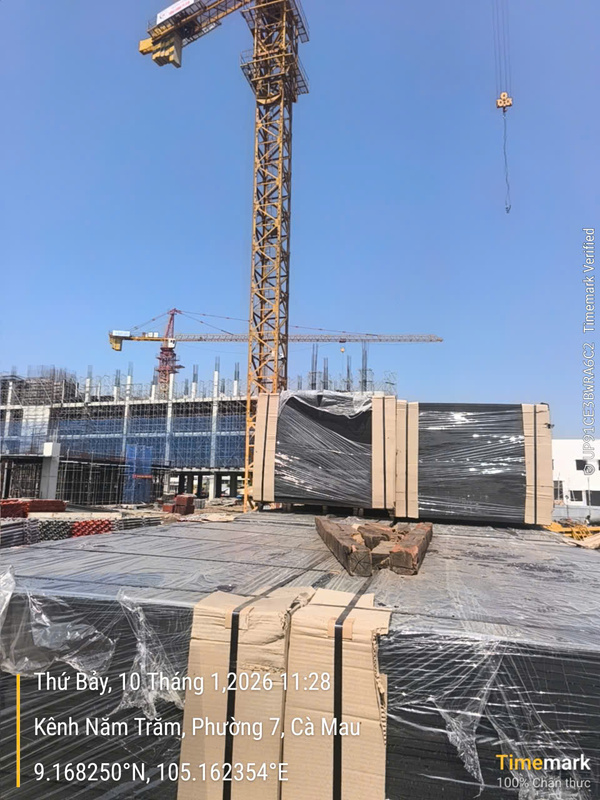 Hình ảnh thực tế Đạt Việt Plywood