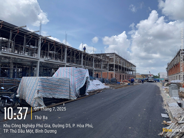 Hình ảnh thực tế Đạt Việt Plywood