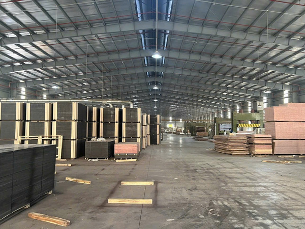 Hình ảnh thực tế Đạt Việt Plywood