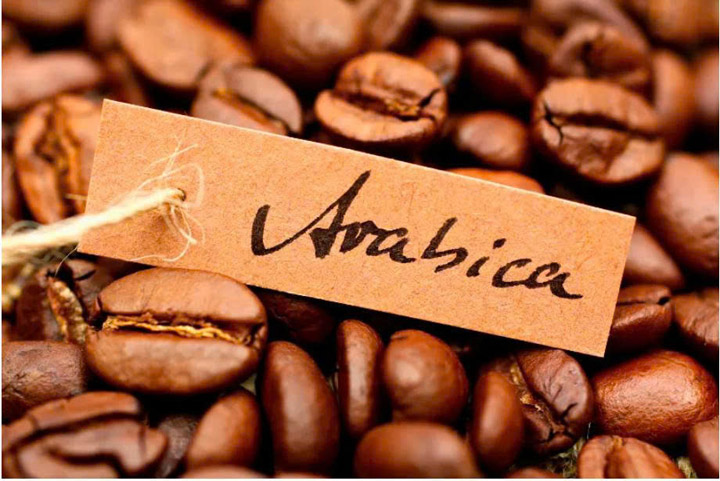 Cà phê Arabica - Công Ty TNHH XNK & Chế Biến Nông Sản Mộc Phương