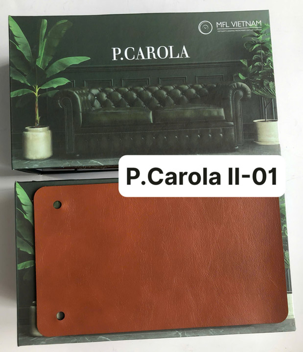 Da P. Carola II-01