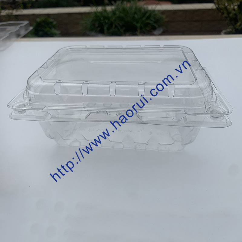Khay nhựa thực phẩm