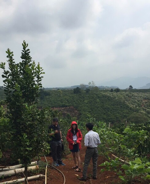 Công ty Viet Access Partners - Tư Vấn Đầu Tư Viet Access Partners - Công Ty TNHH Viet Access Partners