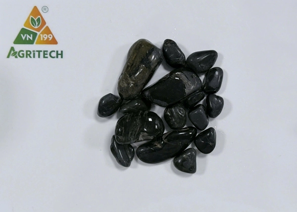 Sỏi đen tráng Axit