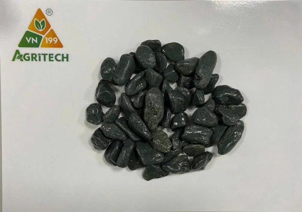 Sỏi quậy xanh rêu