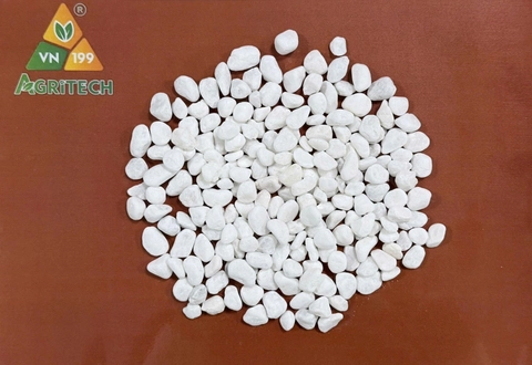 Sỏi trắng muối