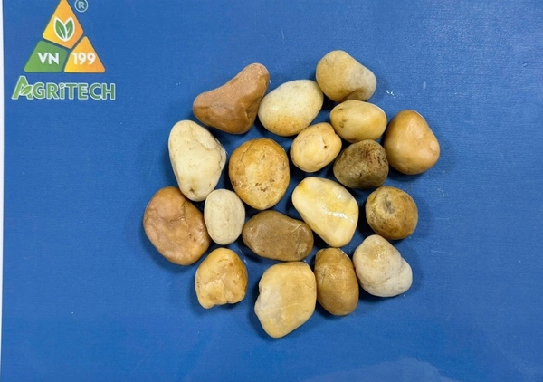 Sỏi vàng tự nhiên