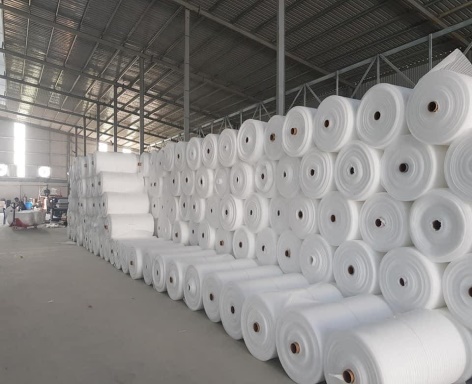 Xốp foam