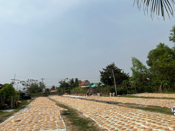 Hình ảnh xưởng sản xuất sản phẩm thủ công từ lục bình công ty Vàm Cỏ