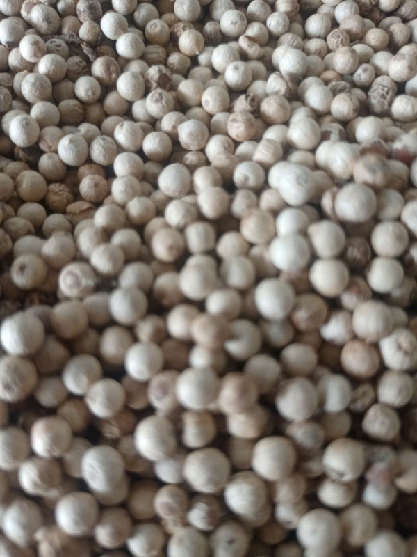 Hạt tiêu các loại