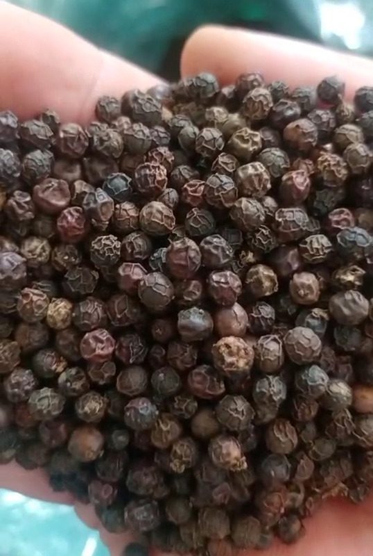 Hạt tiêu các loại