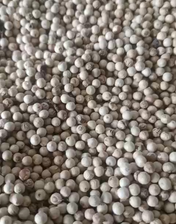 Hạt tiêu các loại