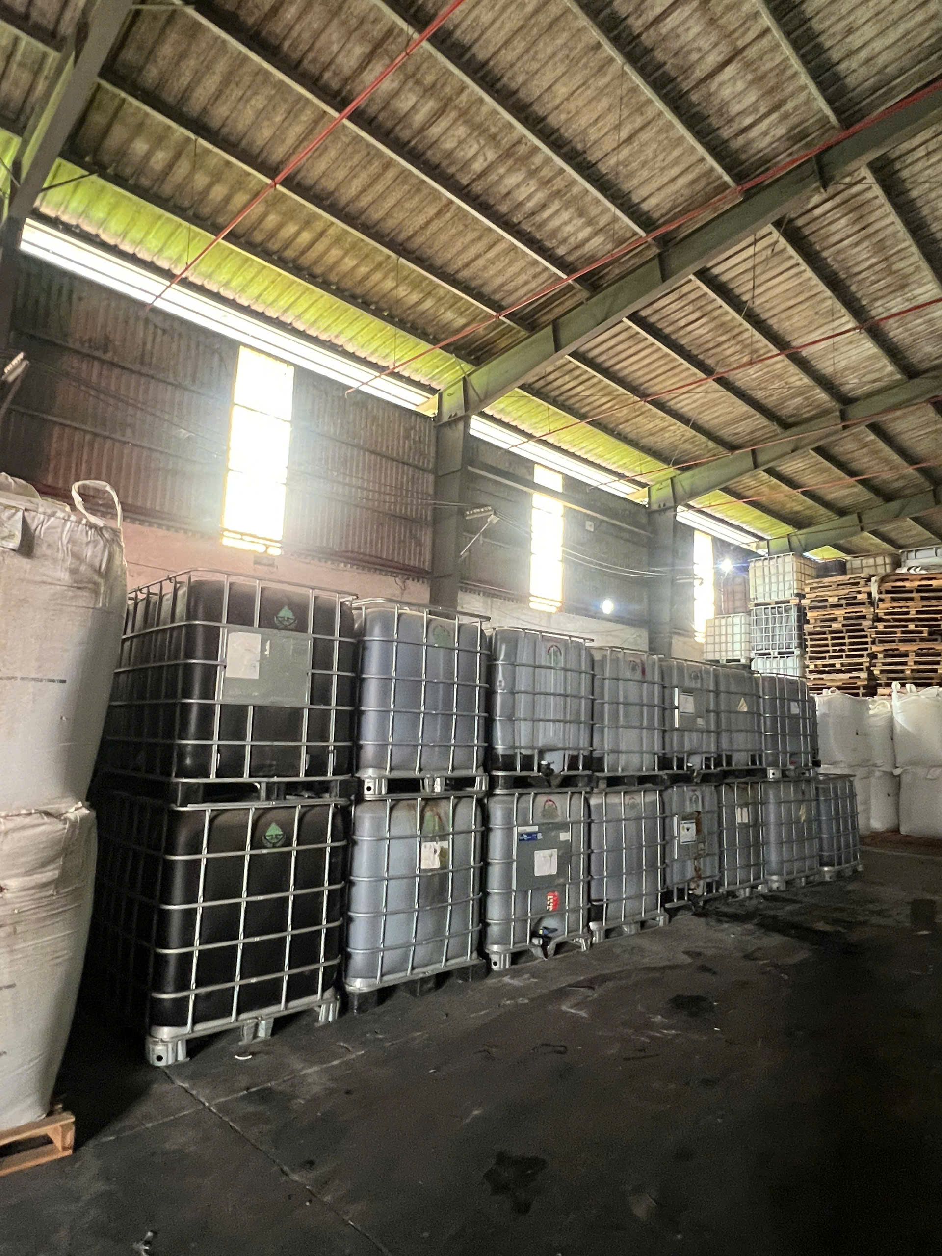 Dịch đạm cá