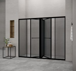 Phòng tắm kính đứng Slim FLS T5 MATTE BLACK