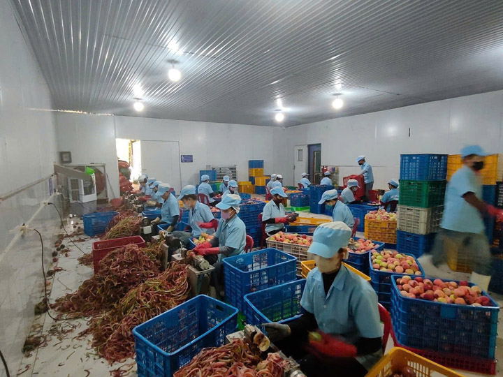 Hình ảnh công ty Nông Sản Đạt Phát