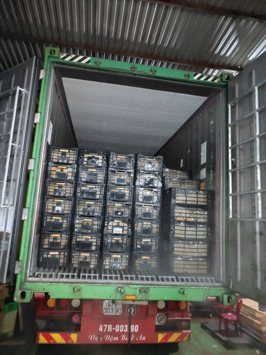 Hình ảnh công ty Nông Sản Đạt Phát