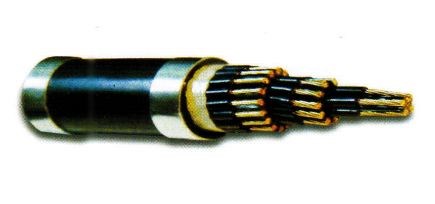 Dây cáp điều khiển Taya