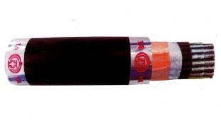 Dây cáp đồng chống cháy Taya