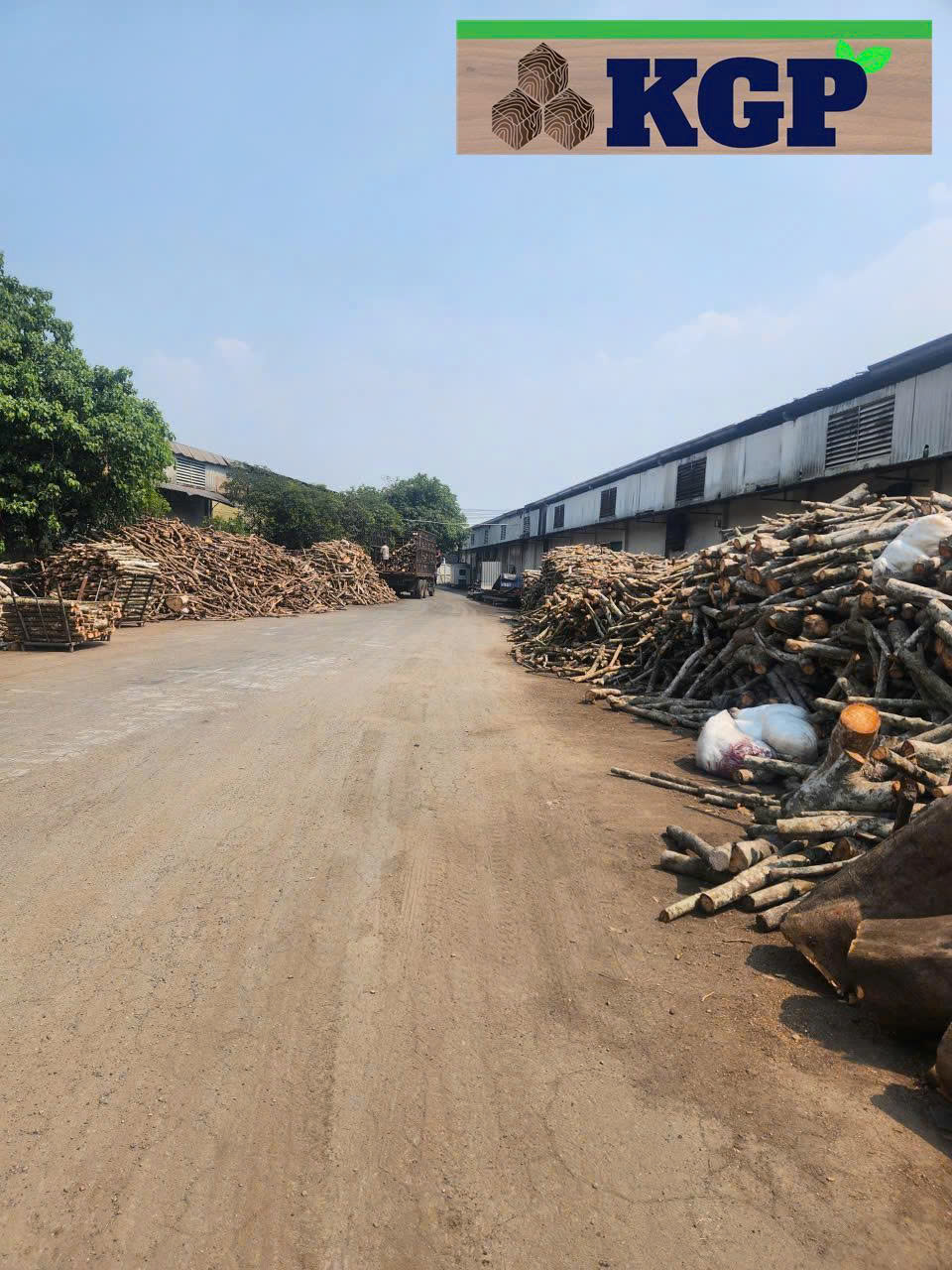 Gỗ củi