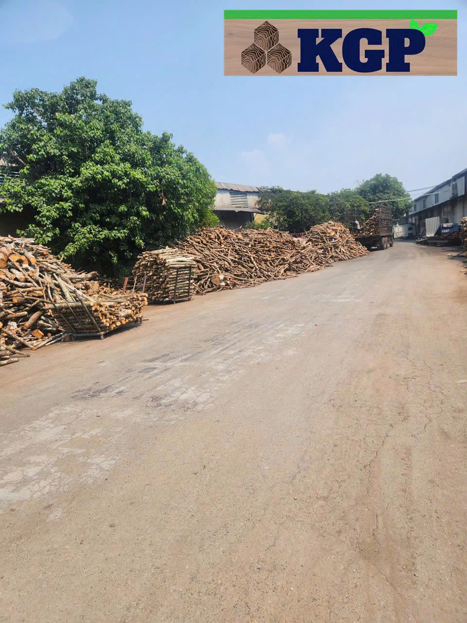 Gỗ củi