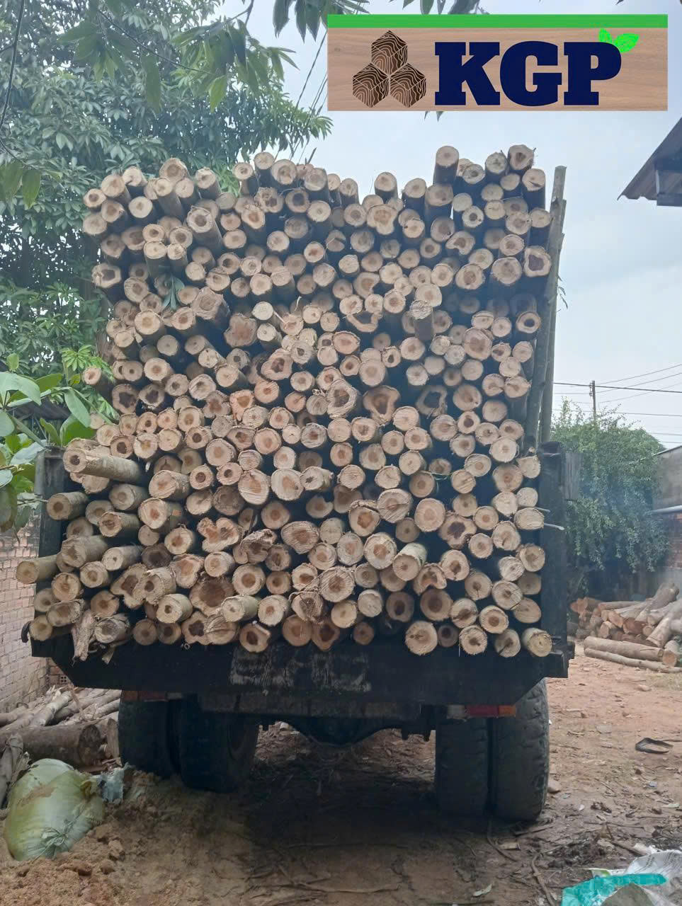Gỗ củi