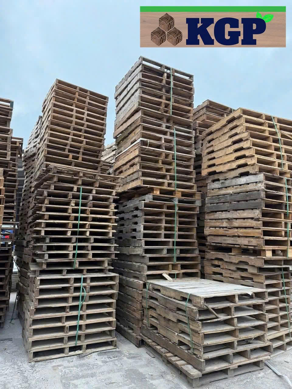 Gỗ đóng pallet