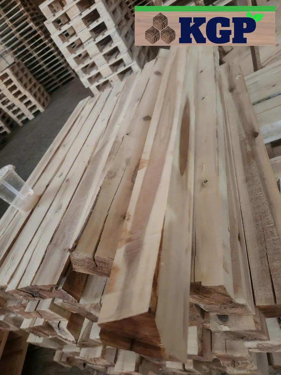 Gỗ đóng pallet