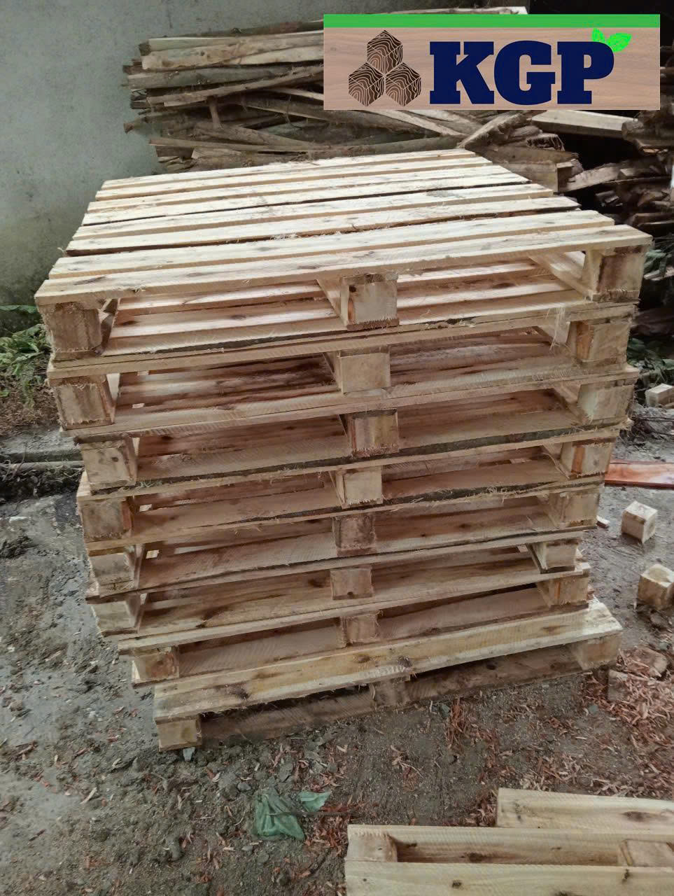 Gỗ đóng pallet