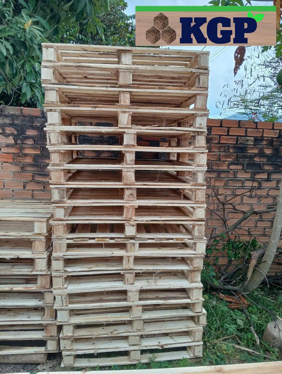 Gỗ đóng pallet
