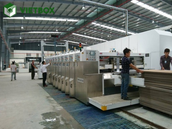 Hình ảnh công ty Vietbox