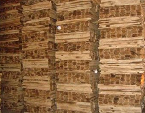 Hình ảnh nhà xưởng TL Vina