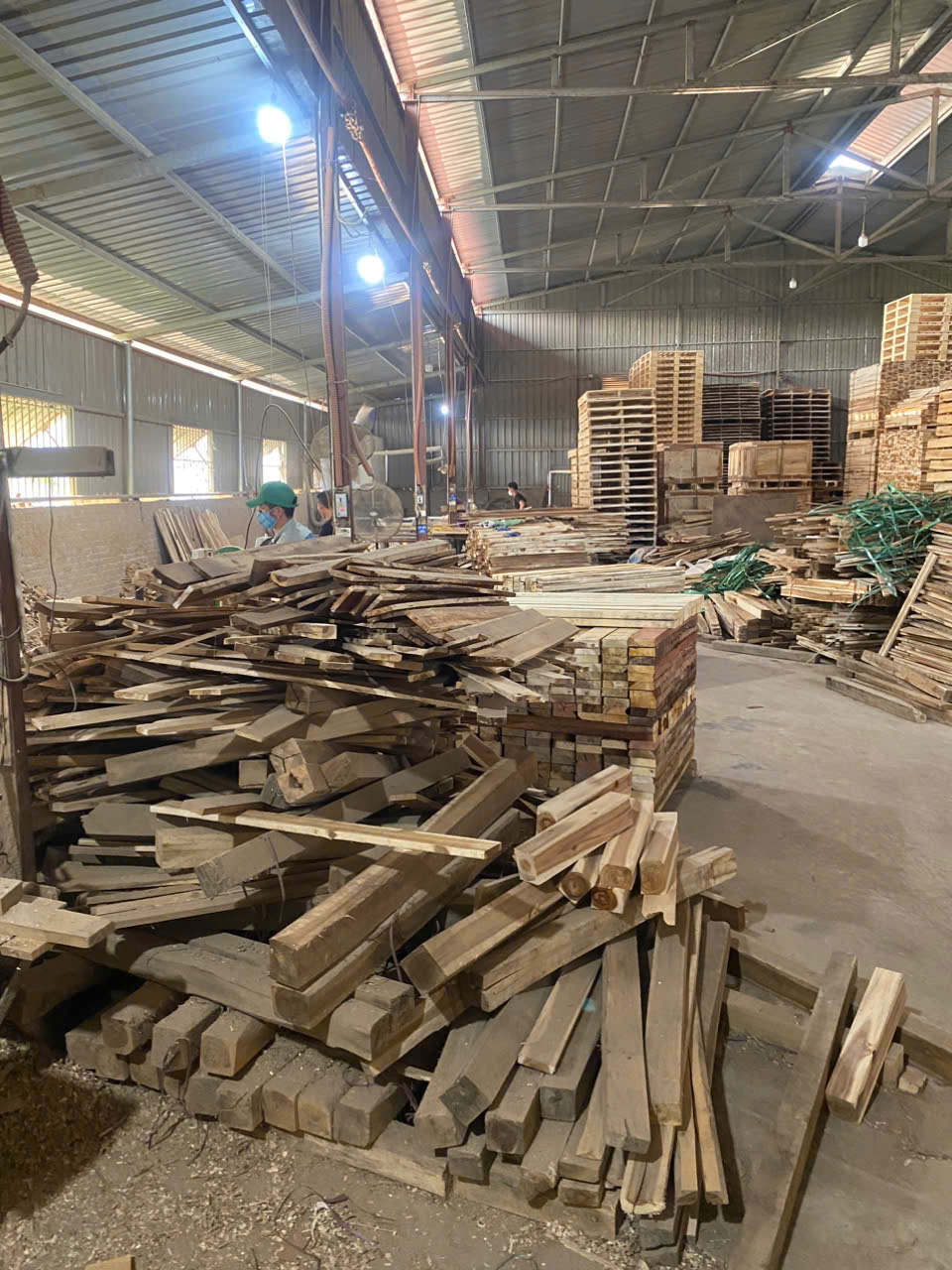 Pallet gỗ