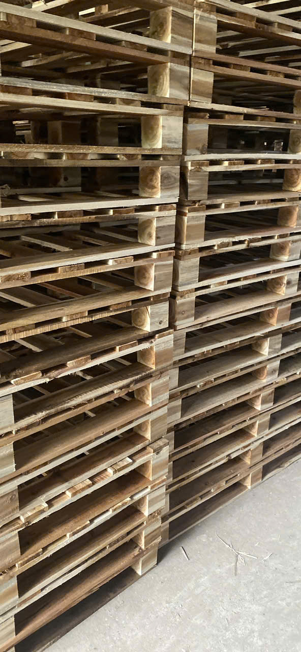 Pallet gỗ
