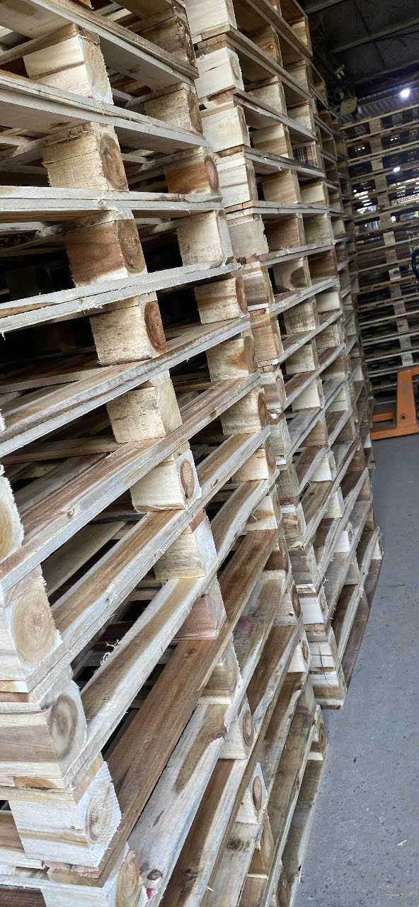 Pallet gỗ