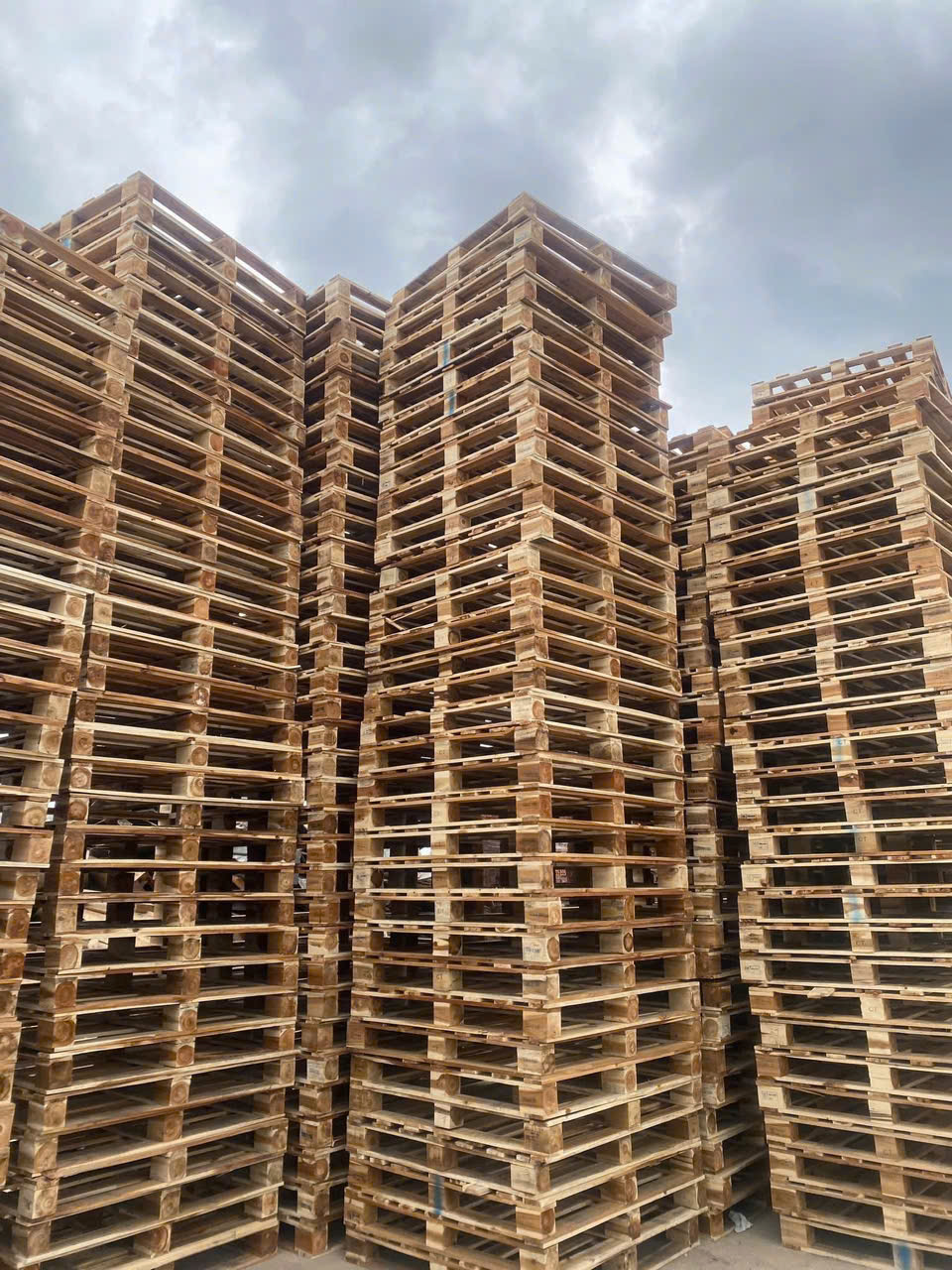 Pallet gỗ