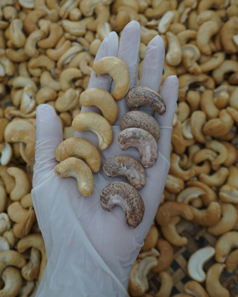 Hạt điều sấy