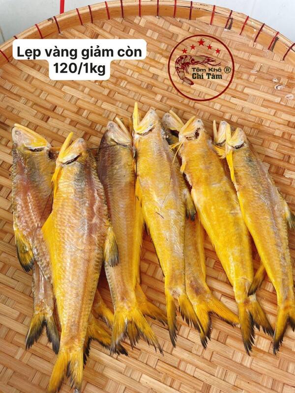Cá lép vàng