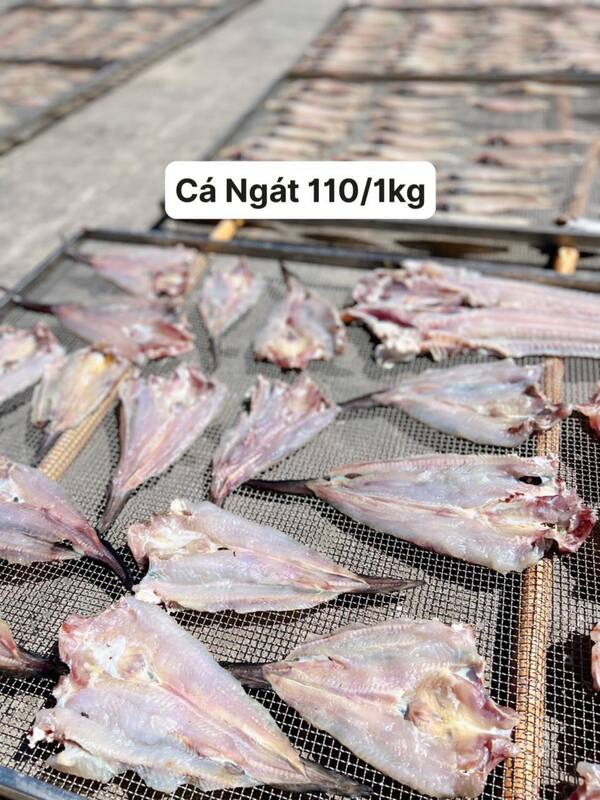 Cá ngắt